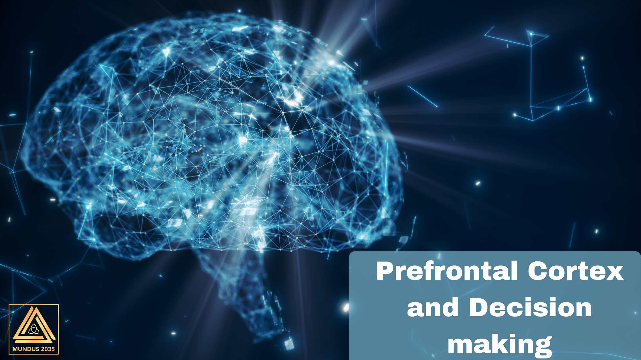 the-prefrontal-cortex-unveiled-a-fascinating-journey-into-the-science